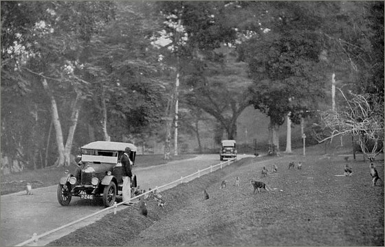 Historic Penang street scene